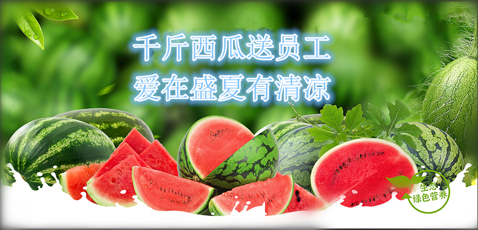 通達(dá)軟件公司： 千斤西瓜送員工，愛在盛夏有清涼